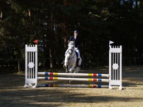 Springreiter 003.JPG