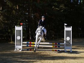 Springreiter 004.JPG